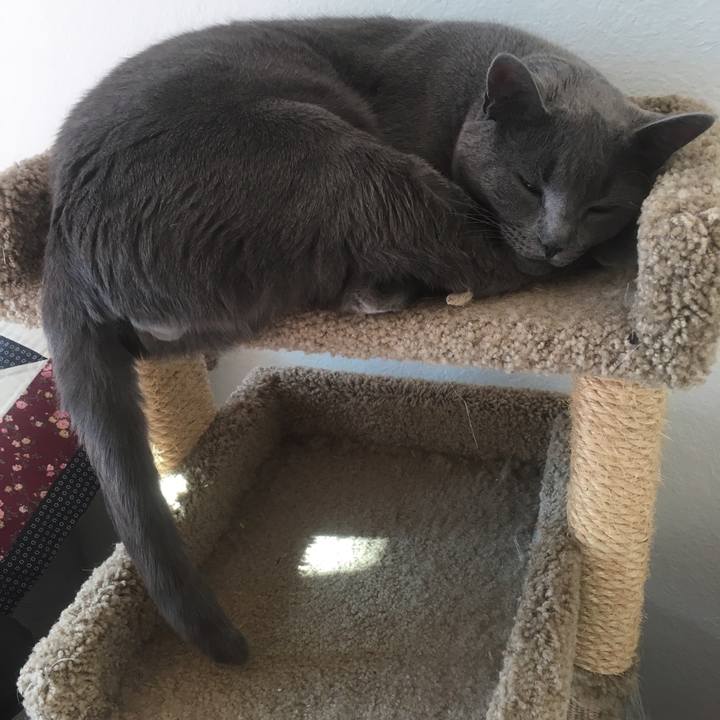 3e052243 4a62 4e8e b090 44eabbf5e32d 1645502820298