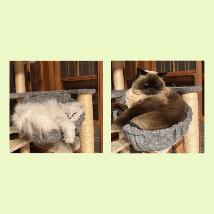 3e053e73 3581 4e10 a2ba 46c691d5af57 1654476216103