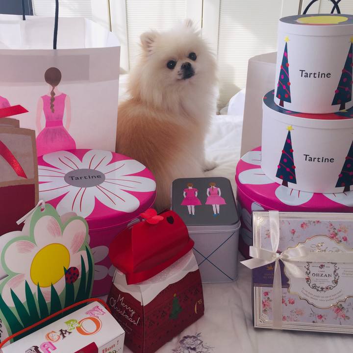 3e055956 a9a8 4271 98c9 4207f02bcd89 1543722631782