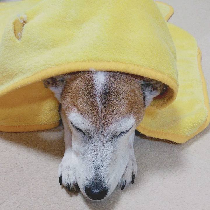 3e056b99 546b 4b2c 91a7 f8bf9349c0fd 1578314719340