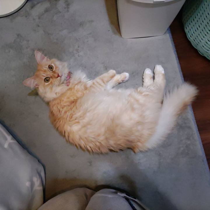 3e058121 ba6c 4fb3 a695 8df05568be53 1703331090924