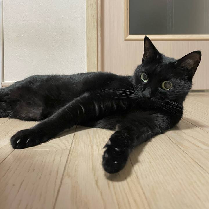 3e058ff8 6251 47a0 aa6d eb80141a0378 1773580508172