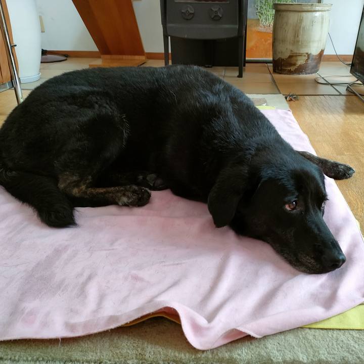 3e05b362 d34f 40ca a609 8fefc3e8a30c 1723933208045