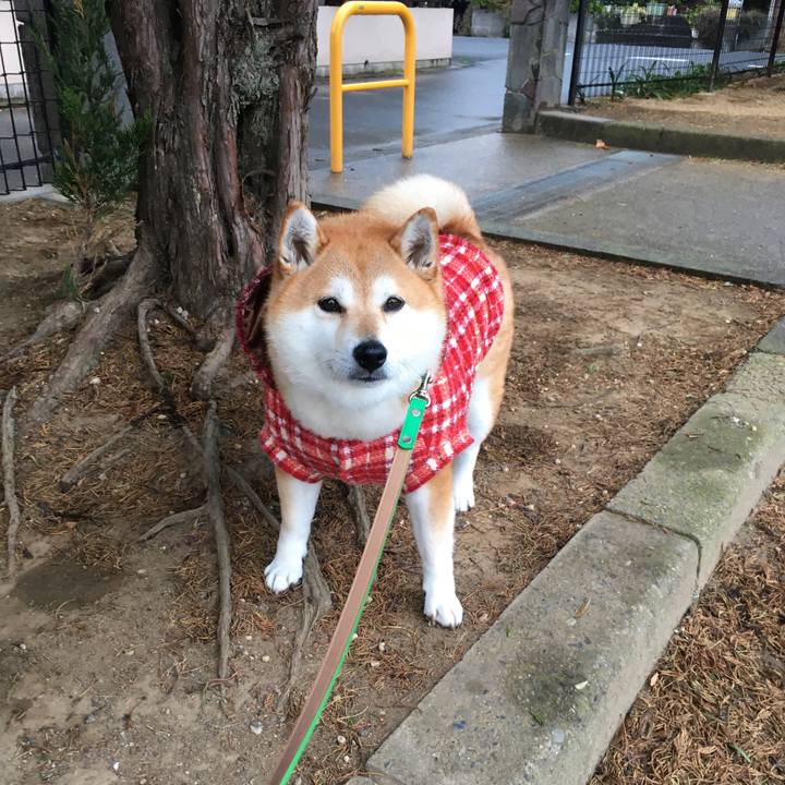 3e05c114 3f1f 46c0 8e93 149bfd3d54b4 1607154998290