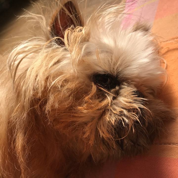 3e0602d5 ab46 445f ab97 a89d6520fa56 1581991647894