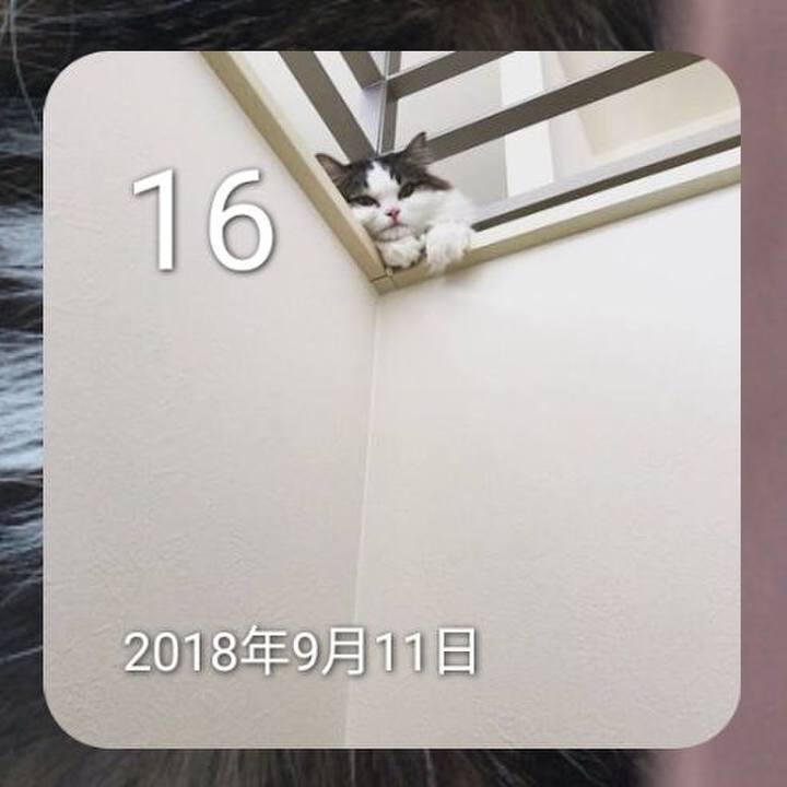 3e068d13 9ba1 4d90 9255 2ce19e44eafc 1789549376201