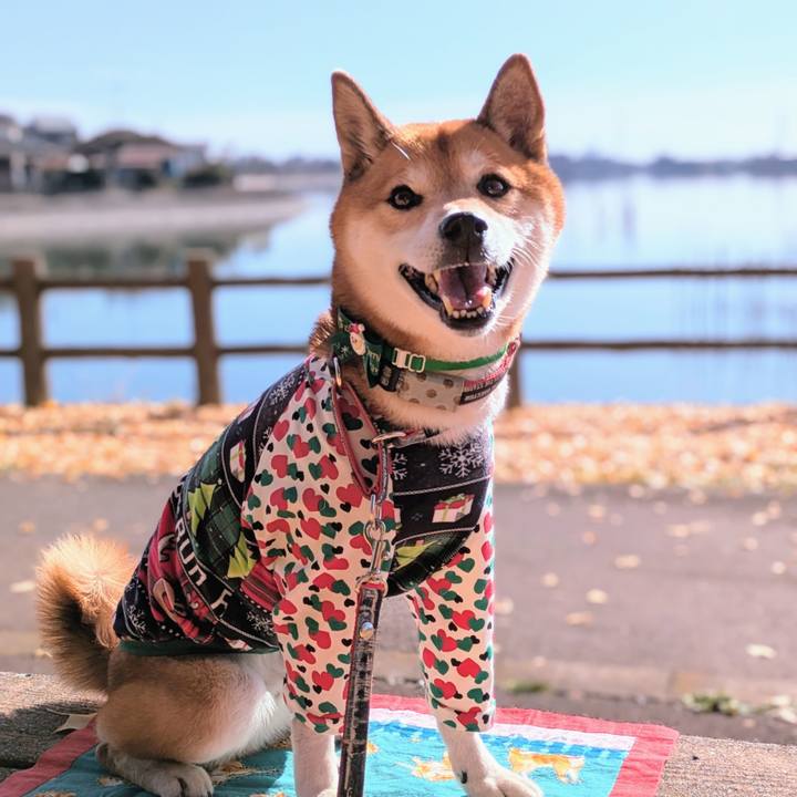 3e06e7b9 01d2 4b07 8db3 40f7d1e9f9cf 1733922479827