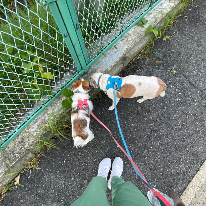 3e07022c 6166 40b9 b9b7 1a6ce8bd1961 1698098521971