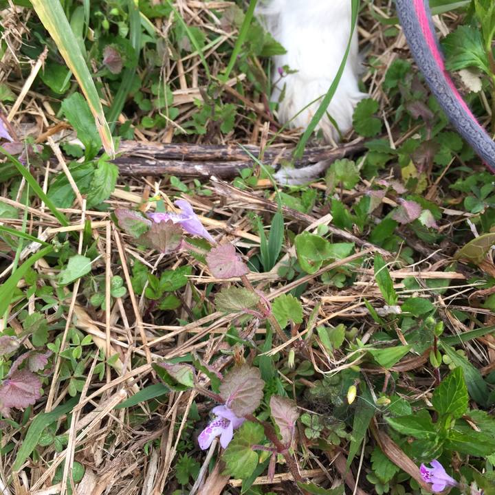 3e0707be 7a42 48d6 a9c6 75e3bb334917 1586560177395