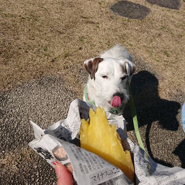 3e07176c 6455 4570 a470 6c8899979ead 1552124270243