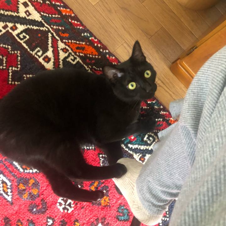 3e072787 2c1b 4f60 8b90 848f1314f7b9 1632975245719