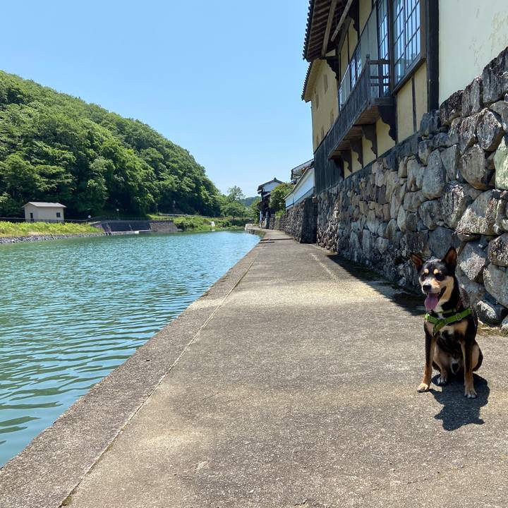 3e075d8e 85ed 4704 b47a 4da2c2814d7b 1621767171890