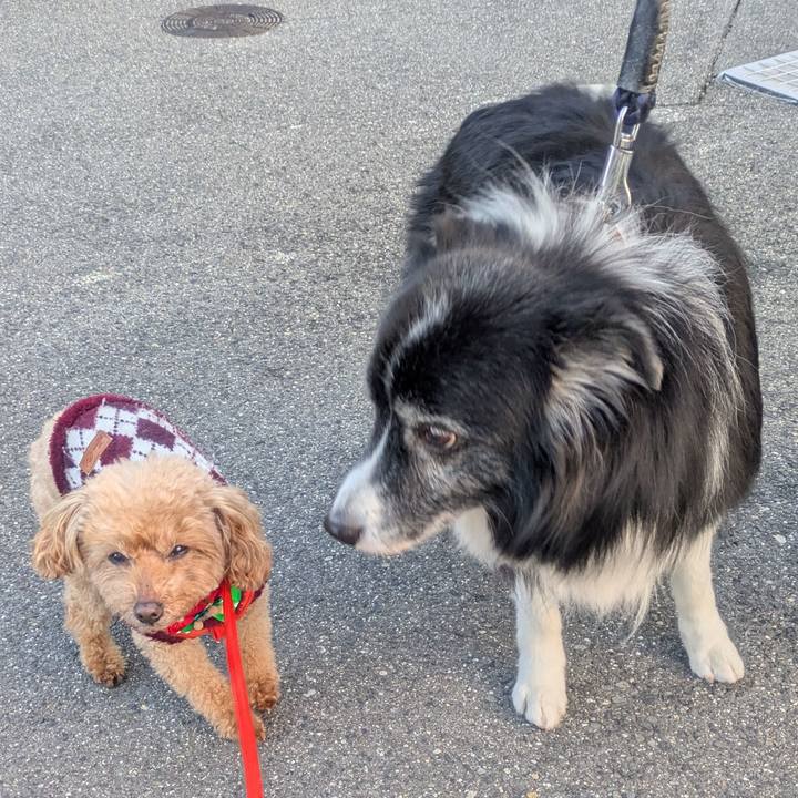 3e078d13 9bc7 4d08 ba29 5a8edfca97e2 1766916844102