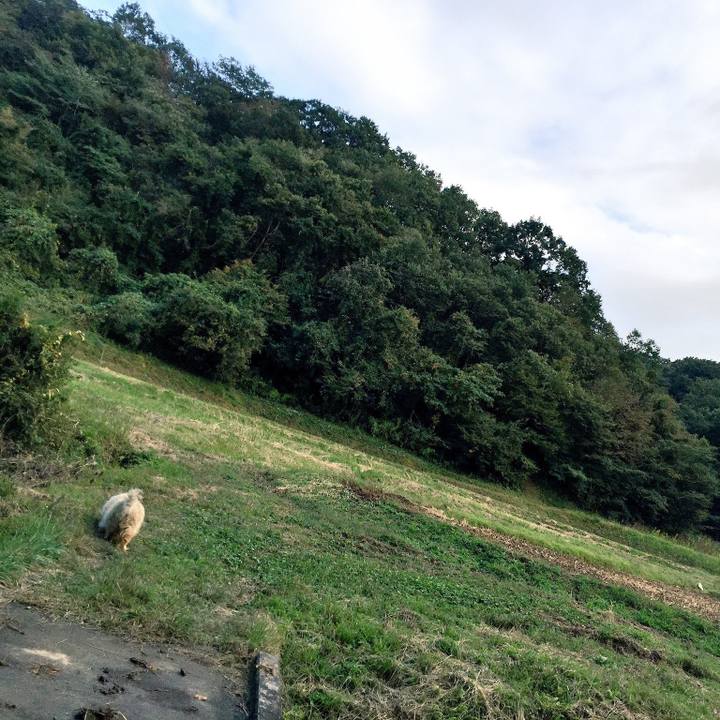 3e079215 bdf3 4d29 8d30 750cff176836 1588973612686