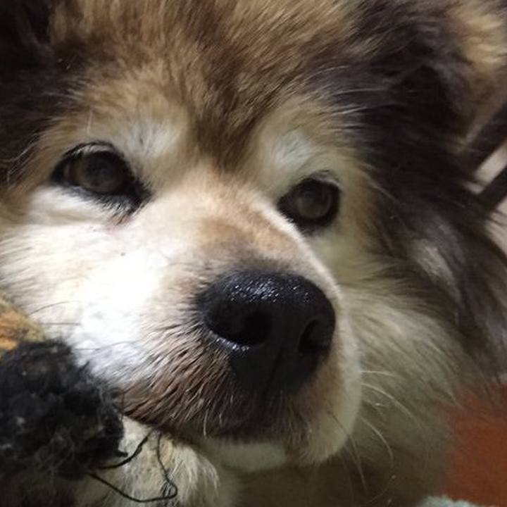 3e079721 ea23 4810 bfb9 a5108bd81761 1599988487294