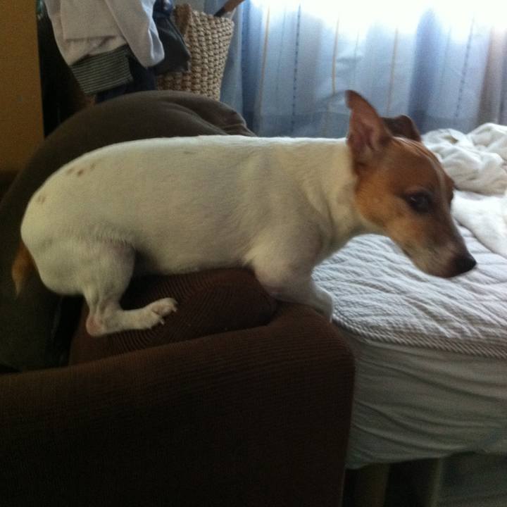 3e07a544 c2b1 47b1 92be 08d5df17722f 1532443206553