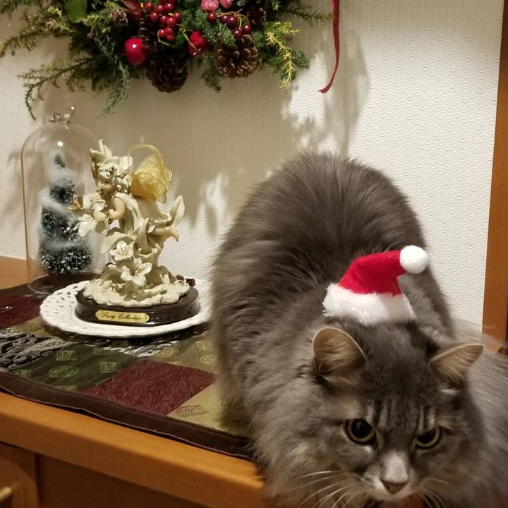 3e07a940 b1bb 4dbf a007 27d70fa9c2b9 1575807989366