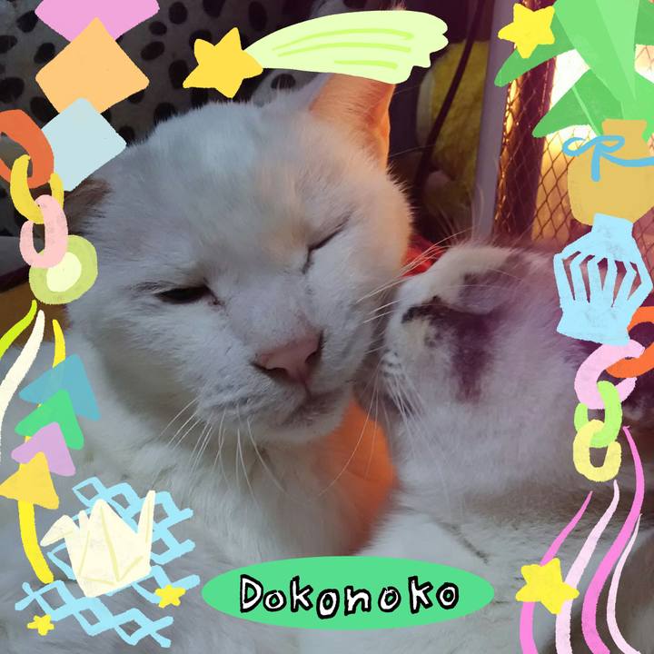 3e0858e7 ad45 47c3 8e8d ef082d4f5df5 1755330146270