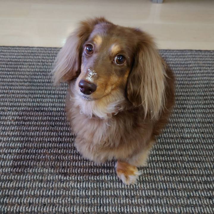 3e087aa7 24f3 4f31 96ad 1680ae82dde2 1635831271066