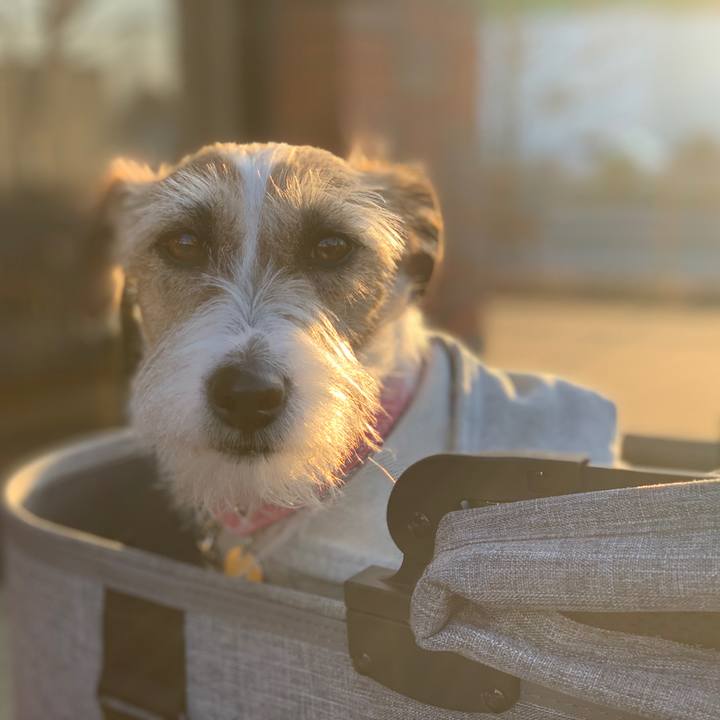 3e088743 c777 4cfe 858f 6e573e57fd23 1615805864799