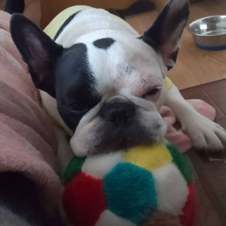 3e088db5 054c 4cd7 a885 68448ee11cdc 1578894431466