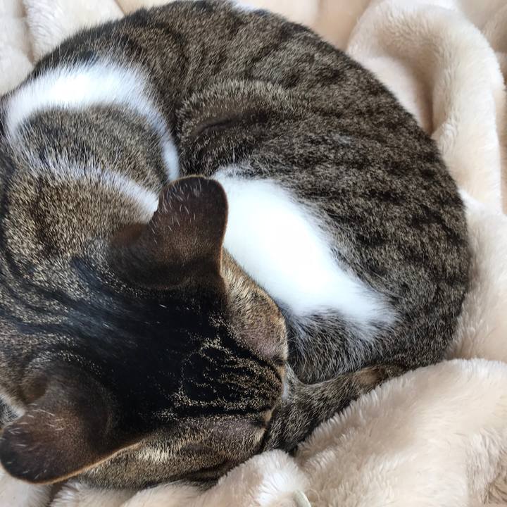 3e08a7eb a337 40a5 9716 685d2acc40f1 1521591722638