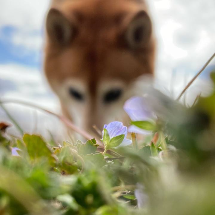 3e08e455 bae1 498c 9c6c 62734e54830c 1677298046508