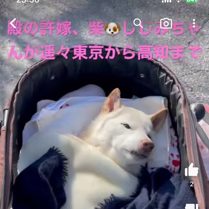 3e08ea3d 21ba 4af0 b8ca 1e715f20c2fe 1678113065959