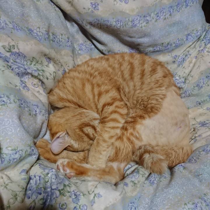 3e08eb2f 90ae 4985 bac3 20a7322a1495 1655037840808