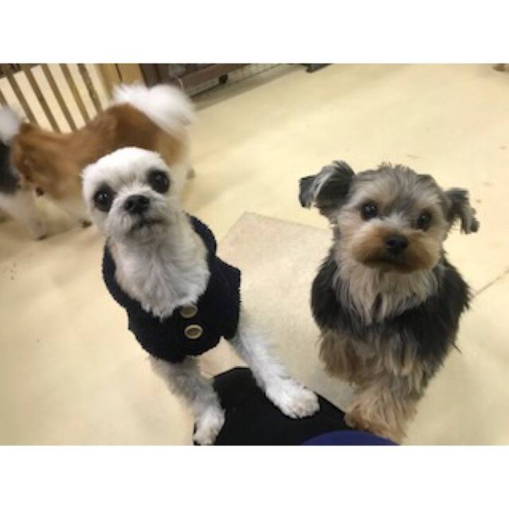 3e08ff4b 148f 422c a233 b1d2252fee1f 1547549881493