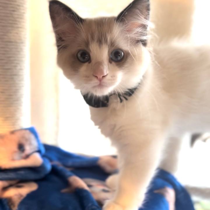 3e096009 08b8 4e32 875e d2fef0146334 1654639770971