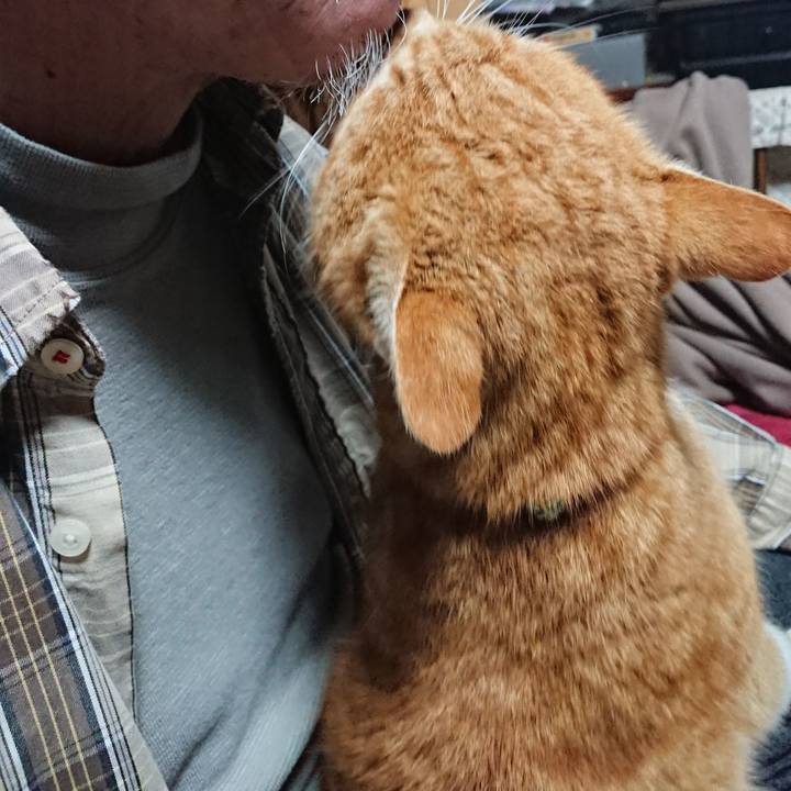 3e0971d5 ca36 4361 8267 f5b5050c0ed7 1580726701314