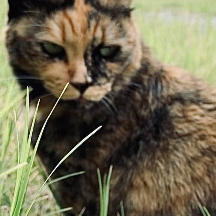 3e09a215 6e4a 450d 8e3d ff8a2bd1c06f 1728803507140