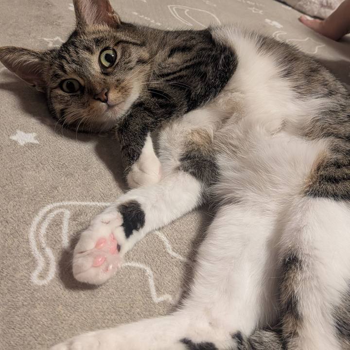 3e09b985 cb57 4e94 89e1 36a0edcd1cd2 1766716356886