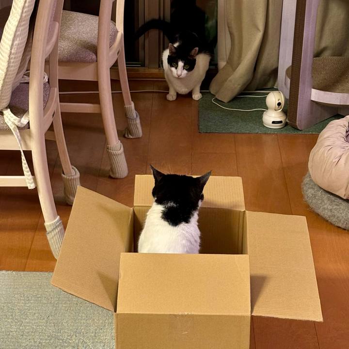 3e09baf3 c653 4eaa b622 74026a036503 1757511578319