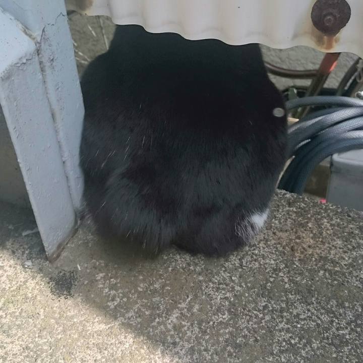 3e09ebb9 e21c 4ef3 9e78 0f43b429849e 1524961119276