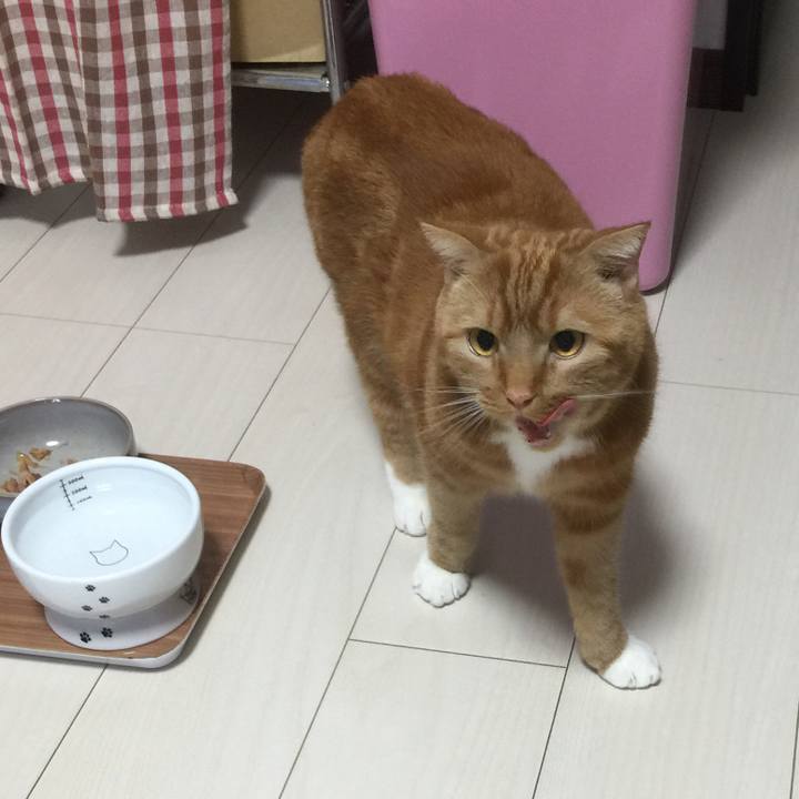 3e0a04bc 50a4 4c70 afb6 93457620be37 1554677196774