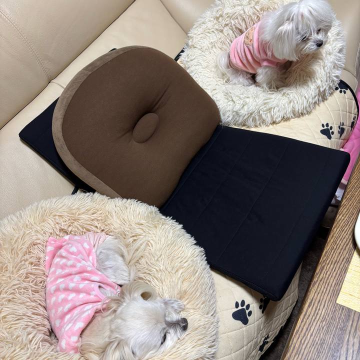 3e0a147d ed9b 4b45 b2c5 b23fa5585a99 1763550149401