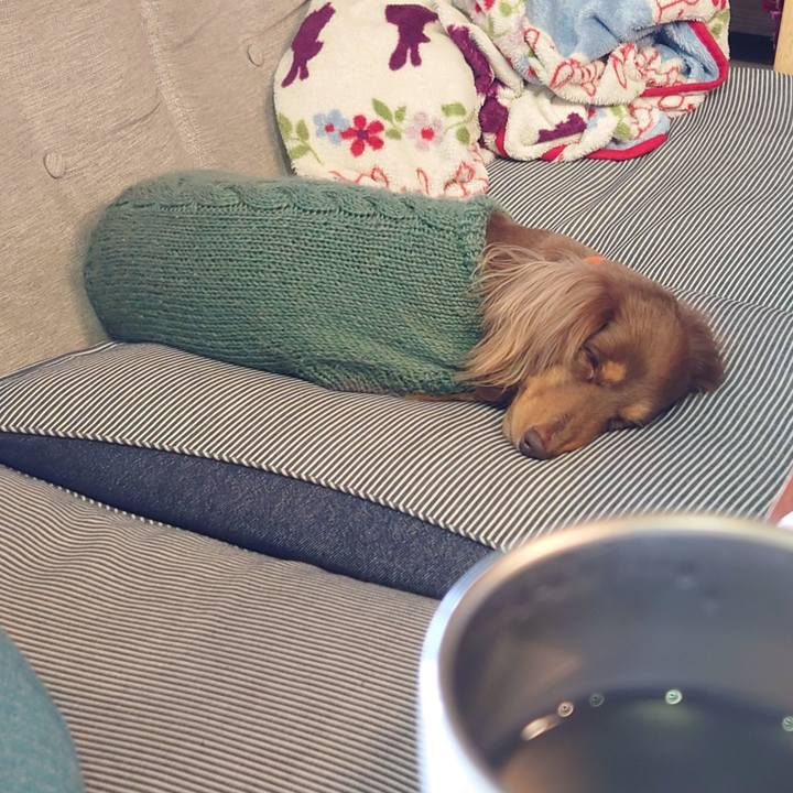 3e0a6783 3db0 4d77 8230 091250464740 1614822261913