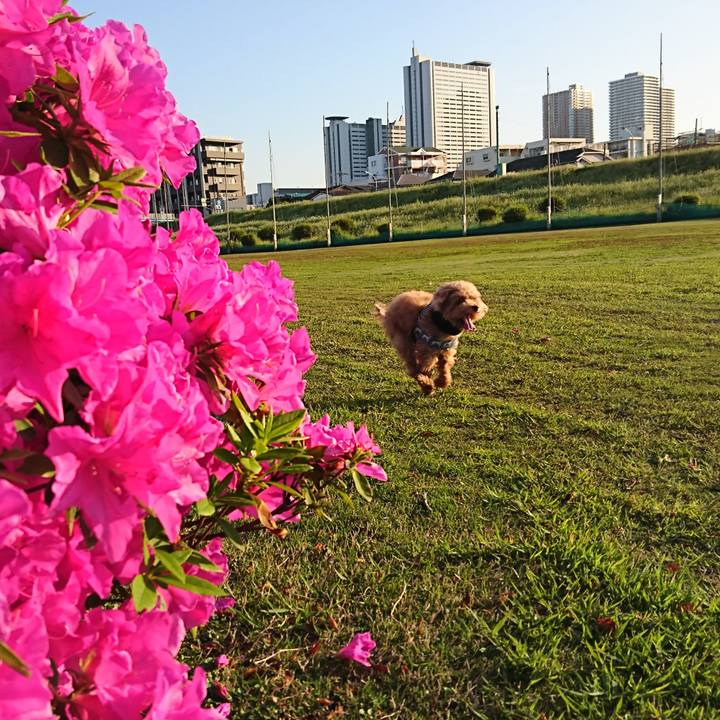 3e0a744b 974d 4a0a a4ee 8d29a9f45a9c 1556798128874