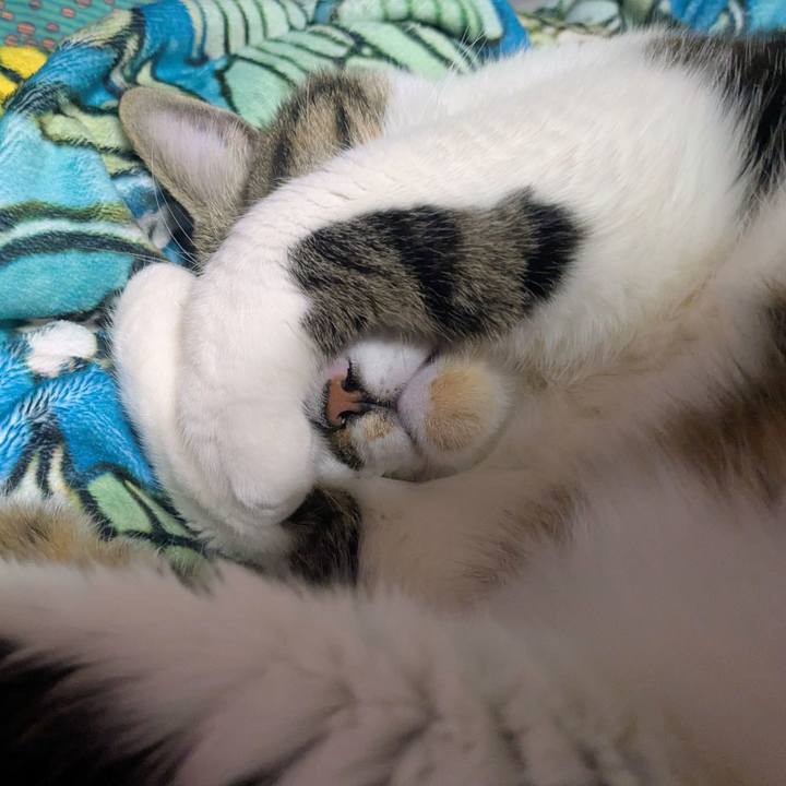 3e0aac09 f821 4804 a8d3 fddd0a8fed8f 1766972533083