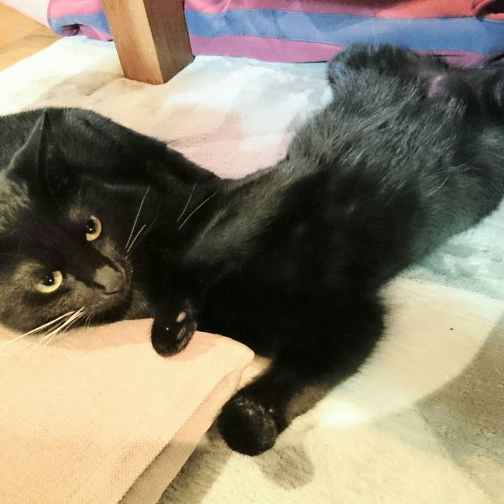 3e0aacdb d287 4211 ad34 fffdca9e716c 1515729579641