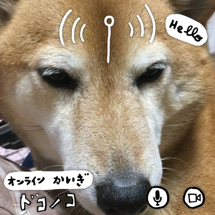 3e0ac8d6 883b 49e8 9436 9d53d595a96f 1590735811270