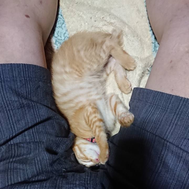 3e0b177c a83e 4472 ac20 0dcebac729b8 1629463638789