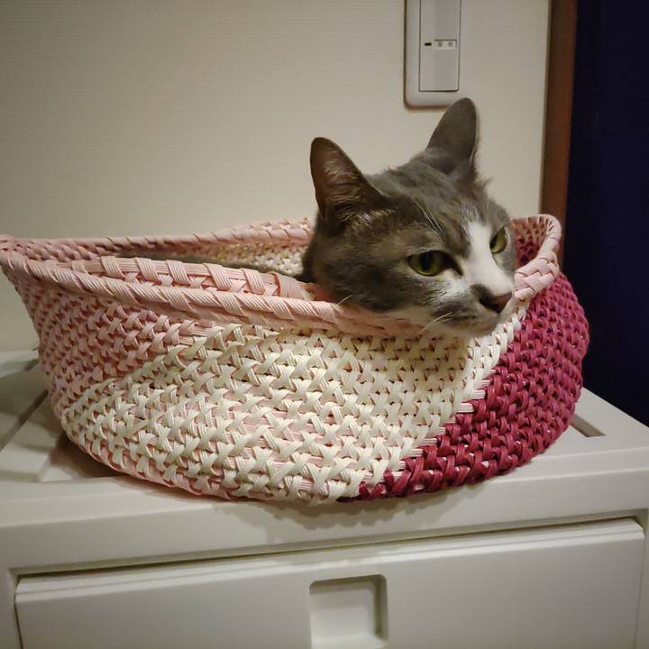 3e0b6abb e801 4b9c 8594 df186e5bec4a 1694260042399