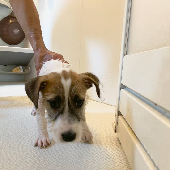 3e0b6ad4 eccf 407f 8a27 e038e1347021 1560671858802