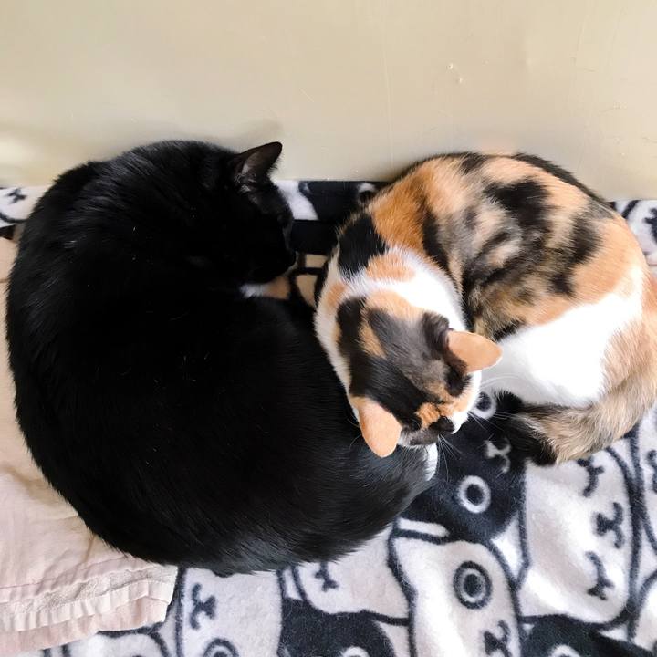 3e0b85d2 a83f 4f1e 8e11 61ba78371b4f 1507686268992