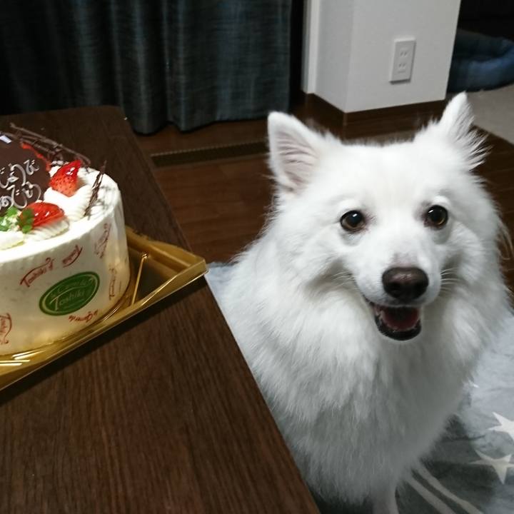 3e0b9e58 17b8 483a 80e6 93da9776c4ba 1598707281596