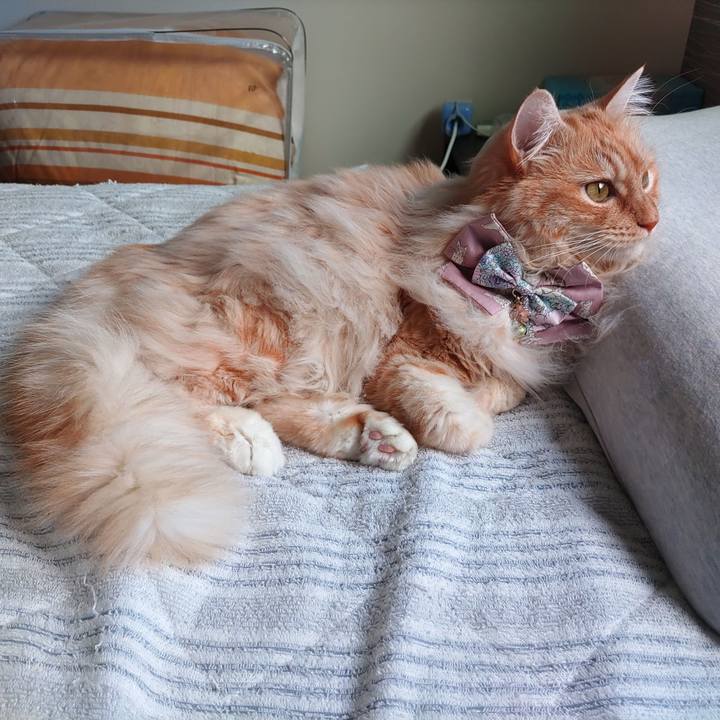 3e0bb00f 6300 4f5b b5a3 1b780e592cba 1716951571040