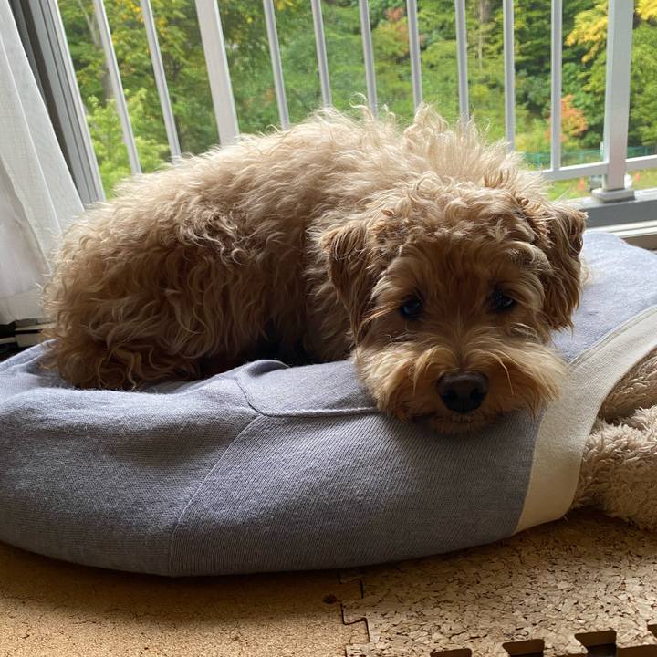 3e0bd147 2ac4 4462 8266 b4b05ddab705 1633127509837